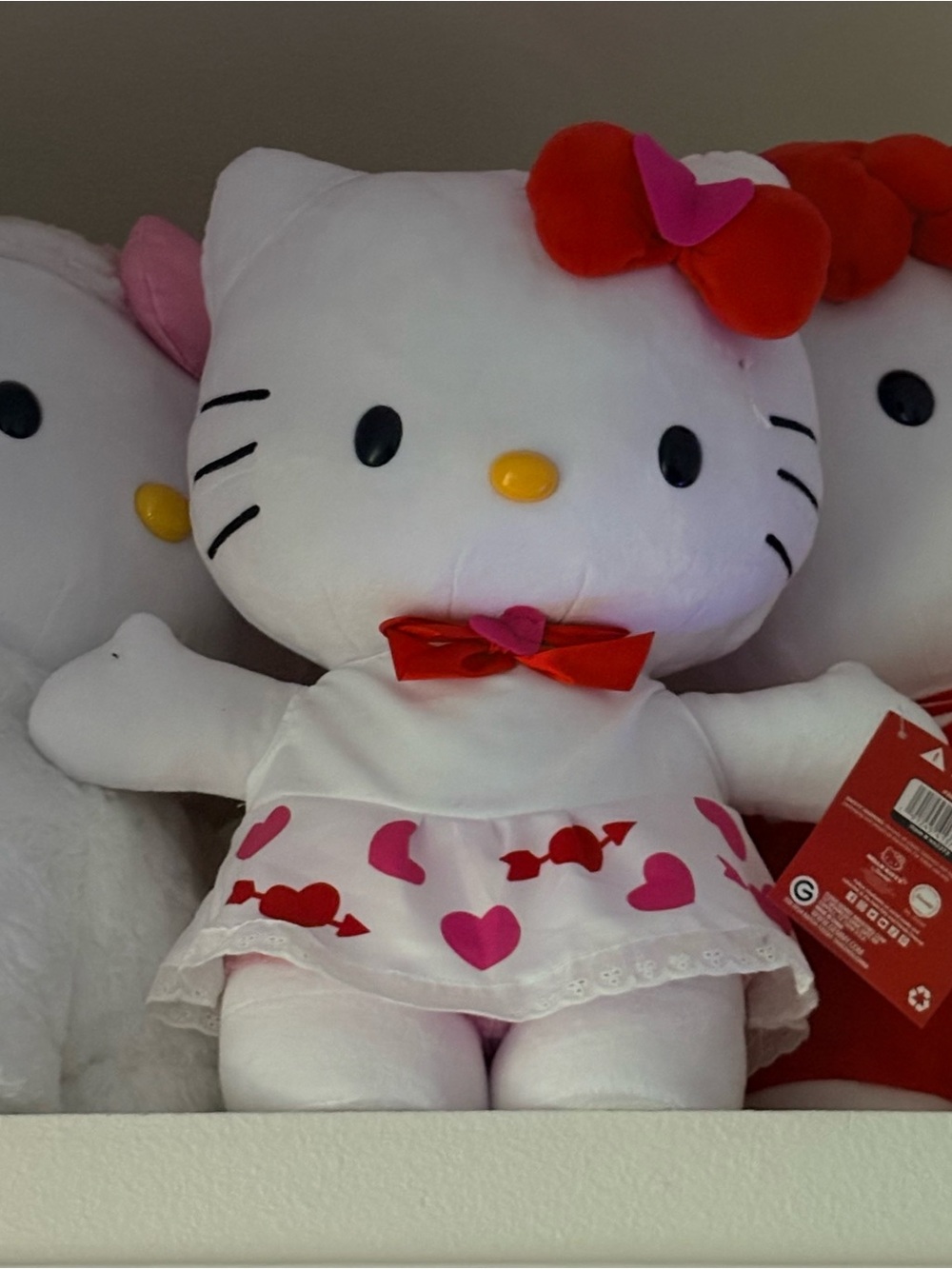 2025 Hello Kitty Valentines Side Stepper